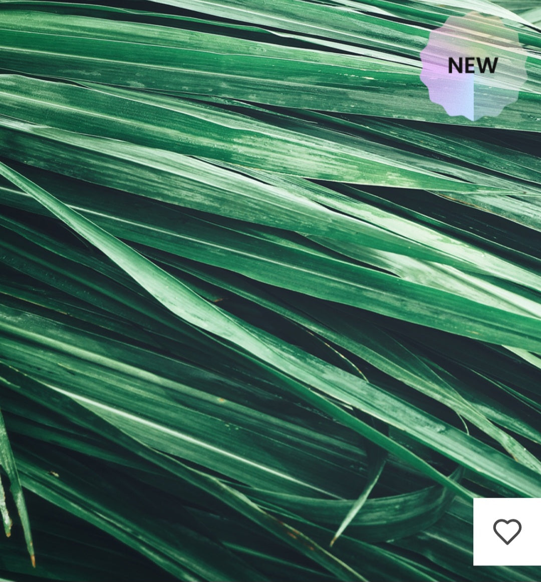 Eternal Love For Him - Profumo Uomo|Cod:162M|
70 ml | Essenza 30%